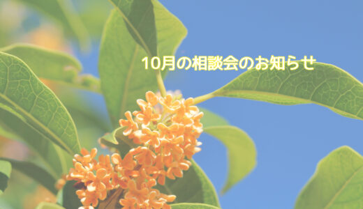 10月の「大船渡林野火災」相談窓口開設のお知らせ